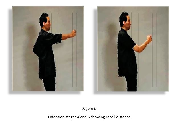 Two images showing the difference between a punch that has been delivered and its relative position to the body versus the relaxed structure of the recoiled arm and its relative position to the body.